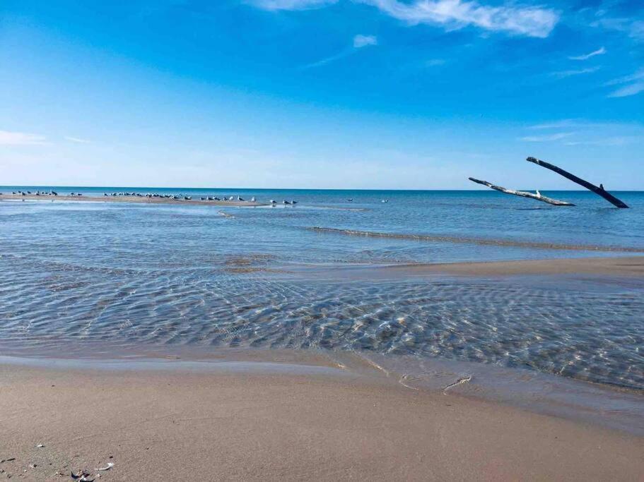 Cozy Cottage Retreat Lambton Shores エクステリア 写真