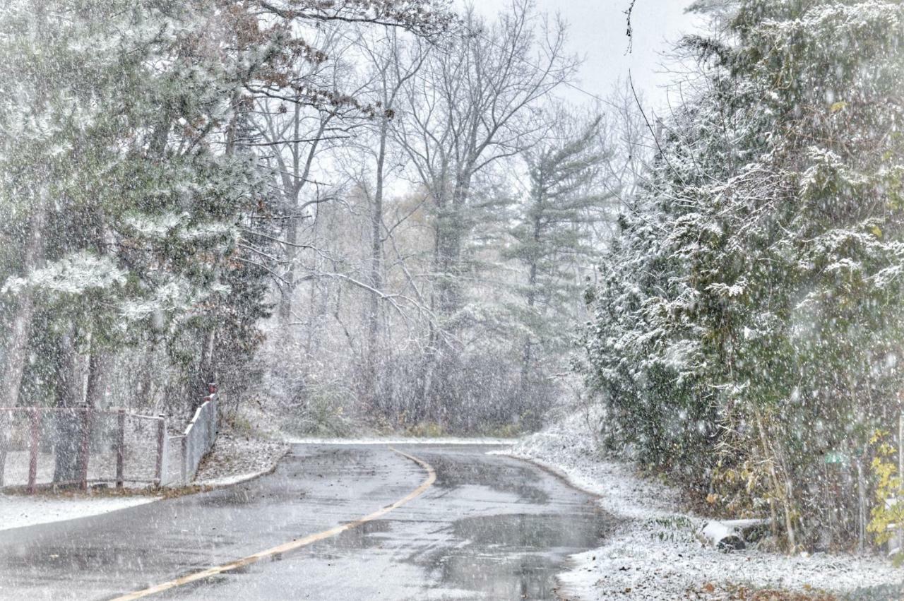 Cozy Cottage Retreat Lambton Shores エクステリア 写真