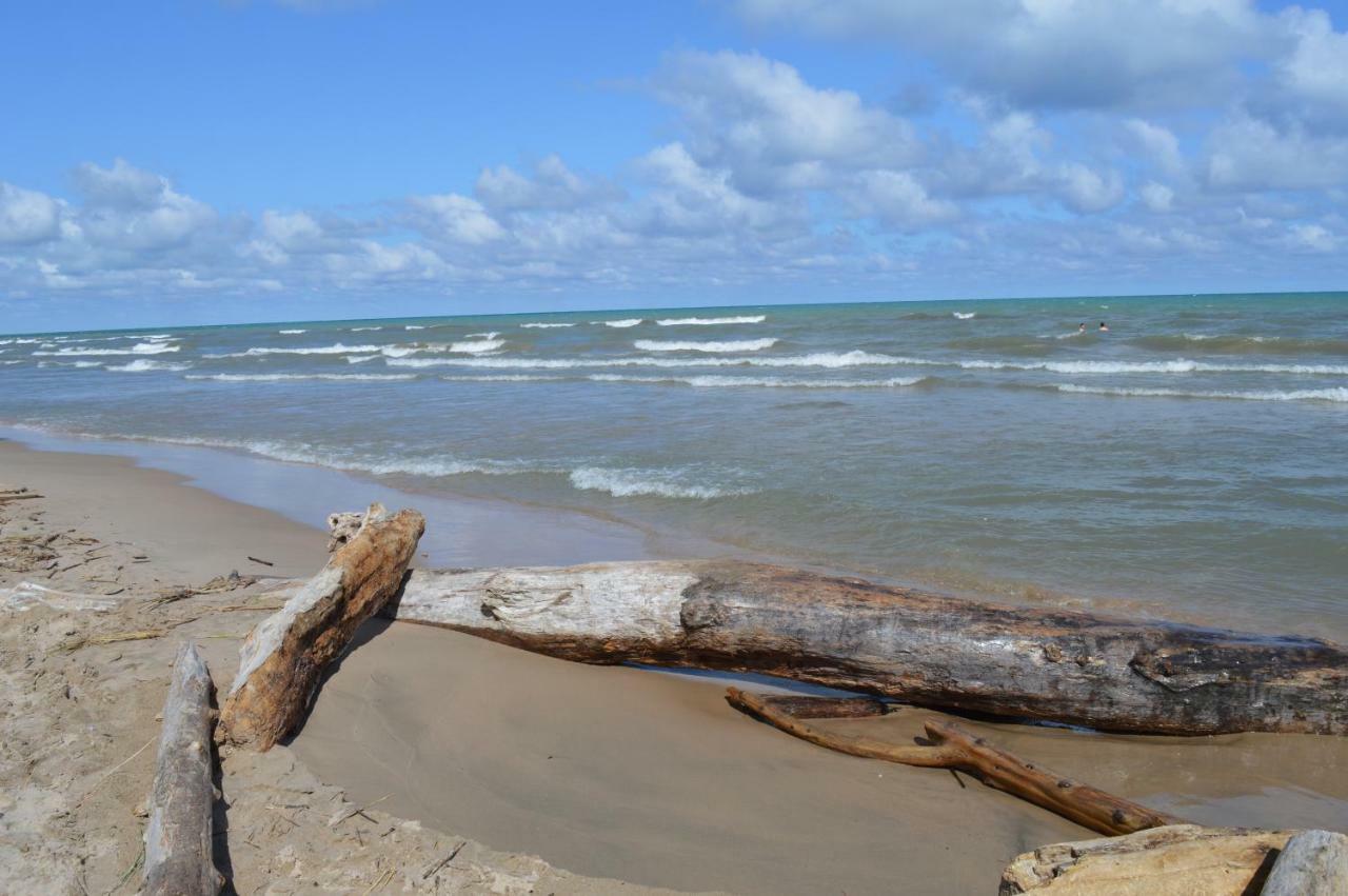 Cozy Cottage Retreat Lambton Shores エクステリア 写真